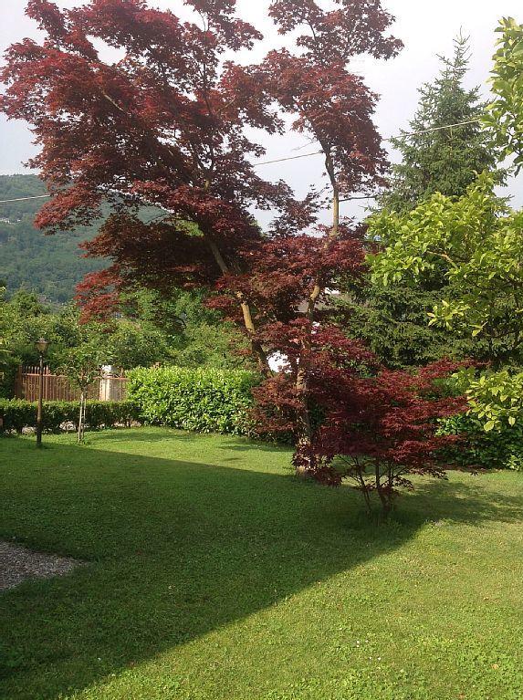 Villa Degli Aceri Sorico Exterior foto